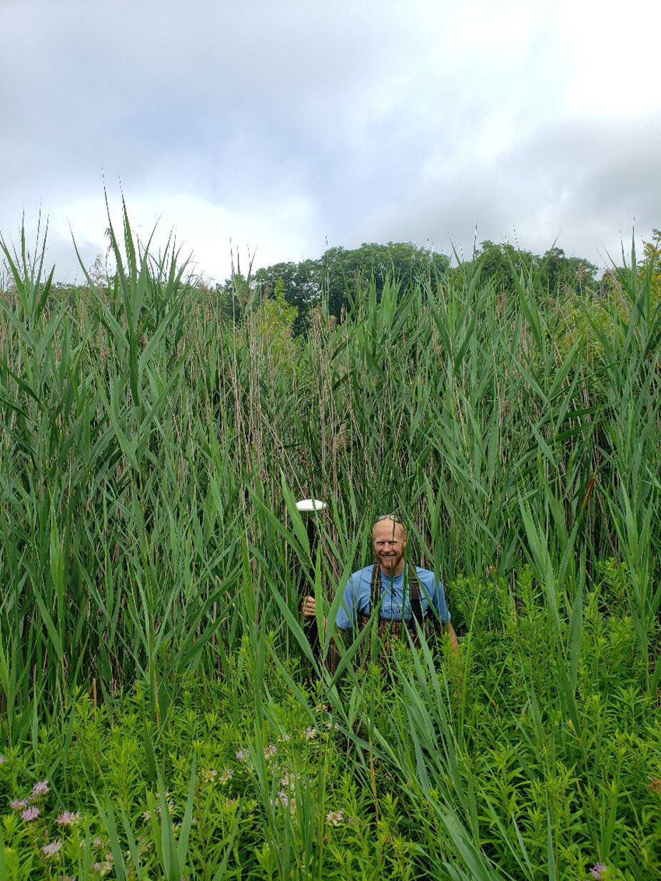Jon Walt smiles while surrounded by a towering stand of wetland plants.